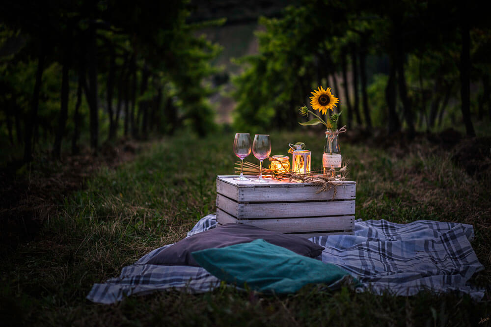 tramonto-in-vigna